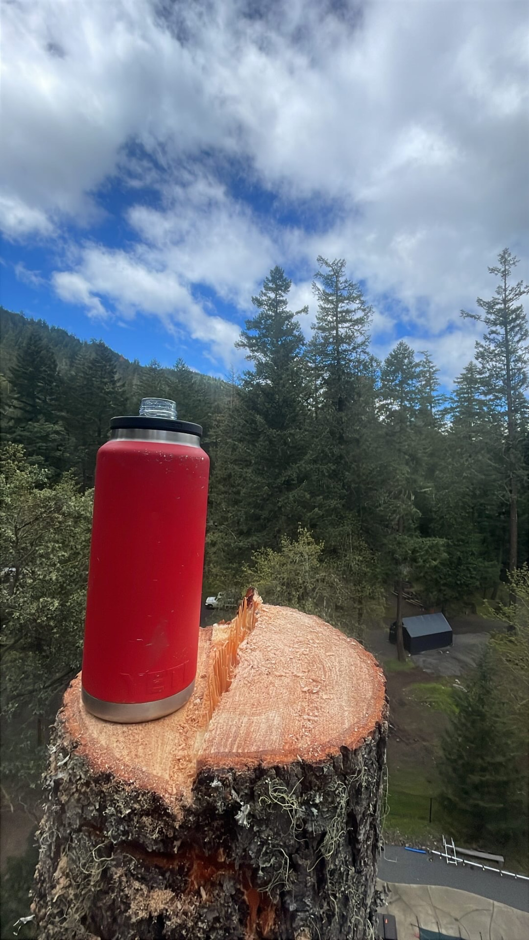 Freshly cut stump overlooking the forested Rogue Valley
